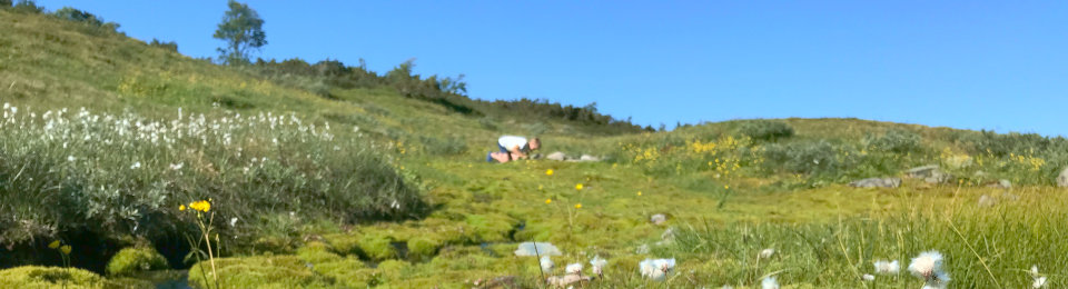 Galå Fjällgård panorama