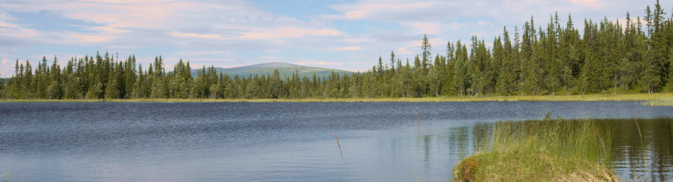 Galå Fjällgård panorama