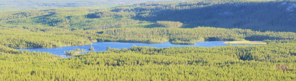 Galå Fjällgård panorama