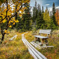 Es wird Herbst am Naturstig